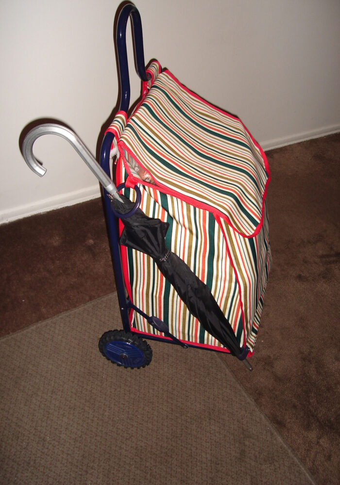 Prodehogar Shopping Cart